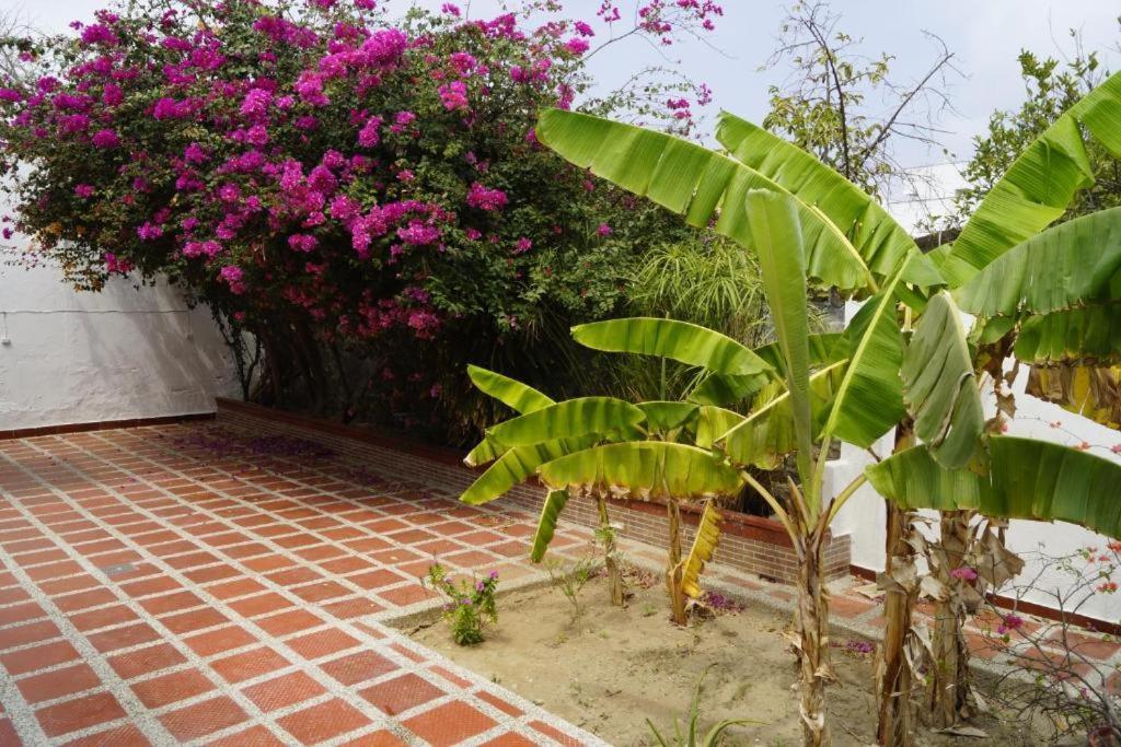 Hotel Mar Di Plata Μπαρρανκίγια Εξωτερικό φωτογραφία