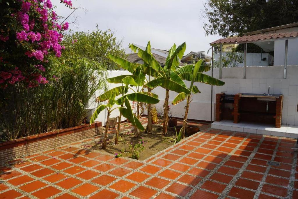 Hotel Mar Di Plata Μπαρρανκίγια Εξωτερικό φωτογραφία